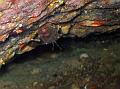 IMG_4435 r1